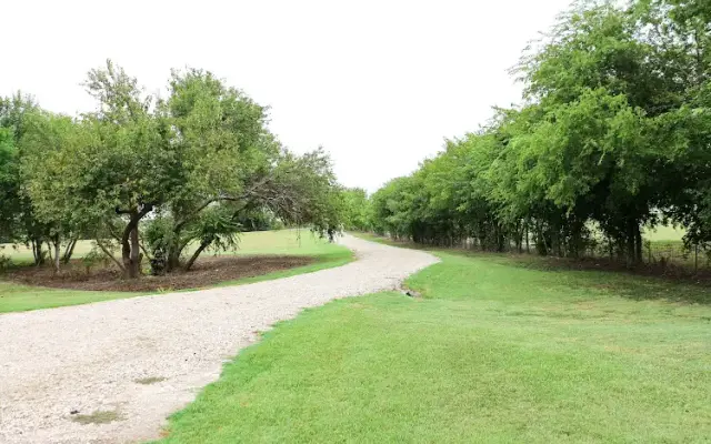 Bodark Grange Dog Boarding in Forney, TX