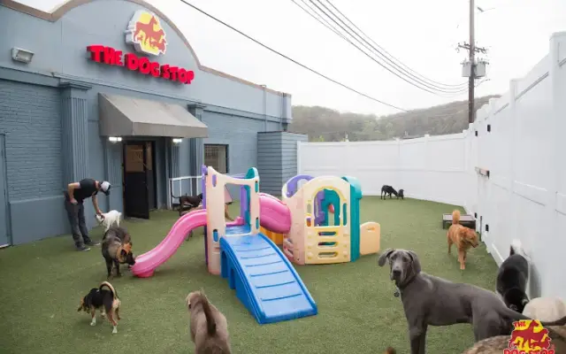 The Dog Stop - Wexford, PA in Wexford, PA