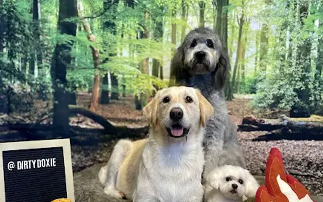 Dirty Doxie Dog Grooming in Atascadero, CA