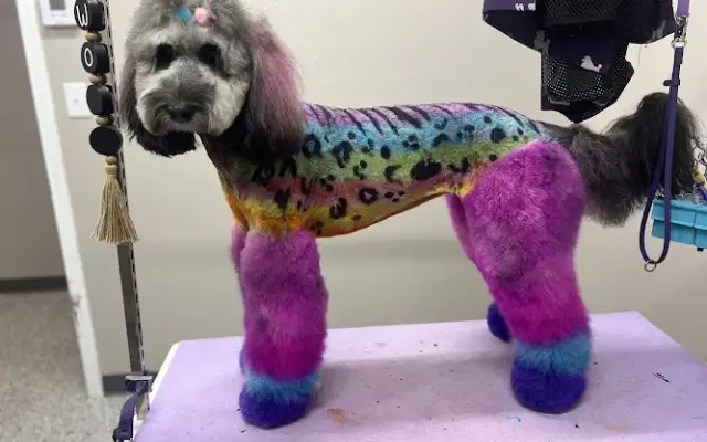 Modern Pet Spa in Robertsdale, AL