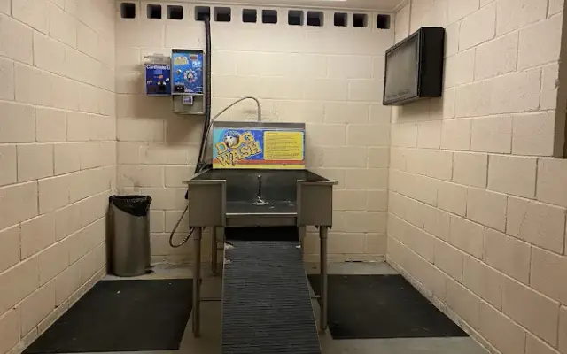Dog Wash in Eastland, TX