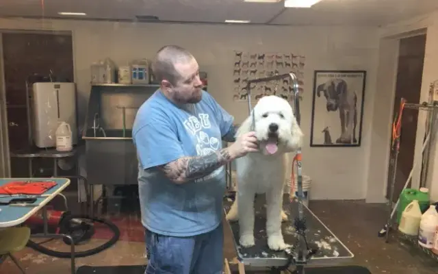 Scrub A Dub Pup in Norton, MA