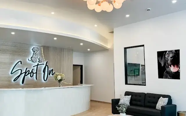 Spot On Veterinary Hospital - Westport in Westport, CT