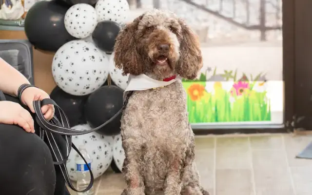 Pet Wants West Plano in Plano, TX