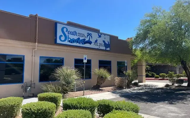 South Shores Animal Hospital in Las Vegas, NV