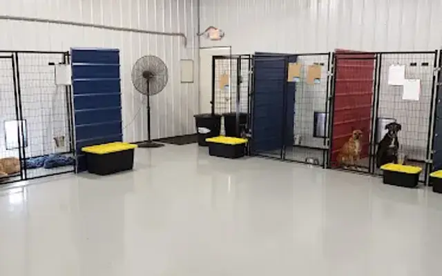 Mutt Motel Dog boarding and grooming in Lillington, NC