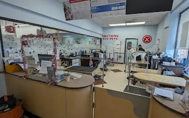 PetSmart Grooming in North Wales, PA