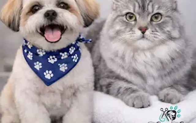Spaw Spa Grooming in Morgan Hill, CA