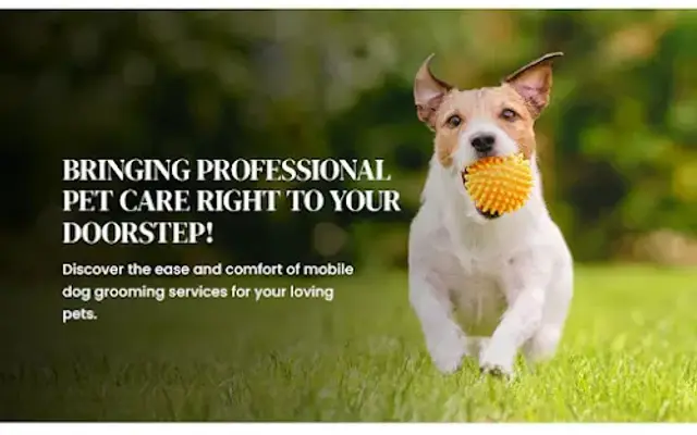 K9 Cleaners Inc. Mobile Dog Grooming in Phoenix, AZ