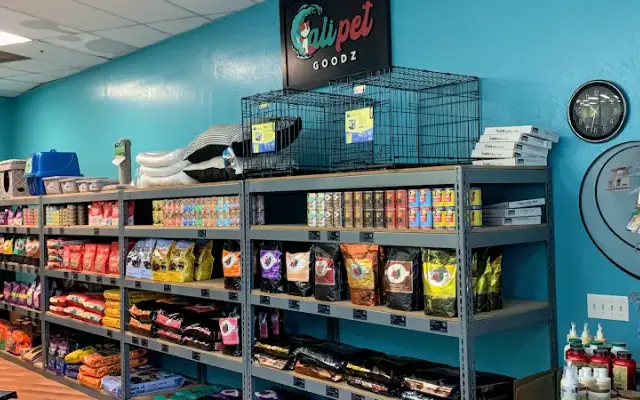 Doggie Grooming Styles in Campbell, CA