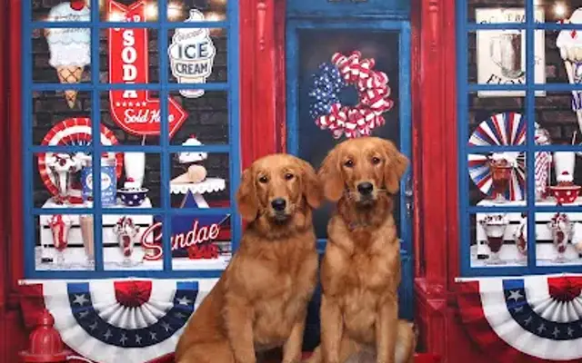 Four Paw Spa in Duncansville, PA