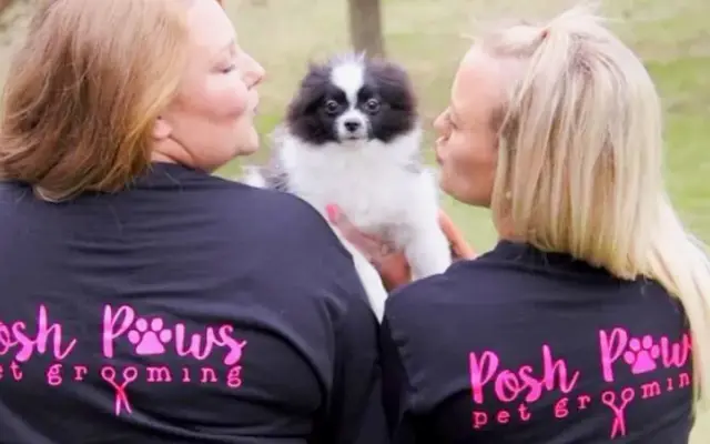Posh Paws Johnson City in Johnson City, TN
