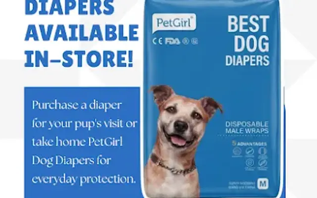 The Lovable Dogs Club Dog Daycare and Spa in Powder Springs, GA