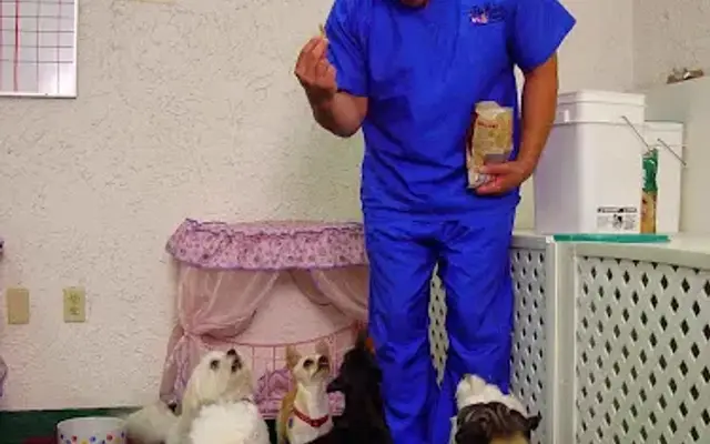 Pet Nanny and More Inc in West Palm Beach, FL