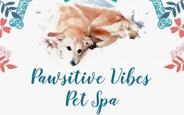 Pawsitive Vibes Pet Spa in Mooresboro, NC