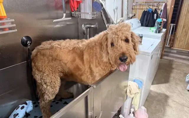 Hupe's Dog Grooming and Spa in Wamego, KS