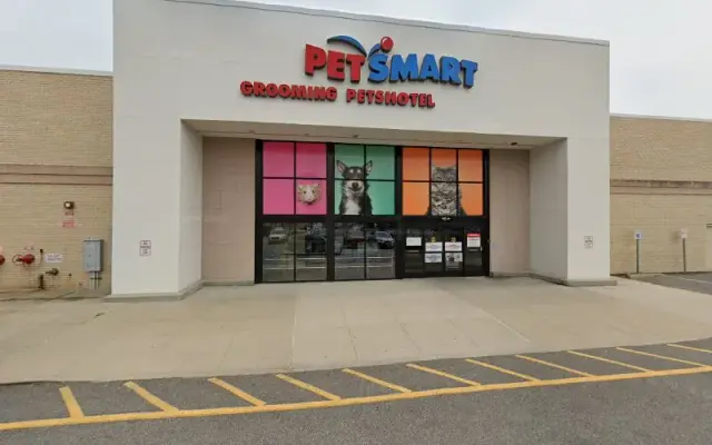 PetSmart Doggie Day Camp in Commack, NY
