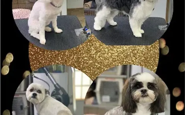 Yankee Clipper Dog Grooming in Hardy, VA