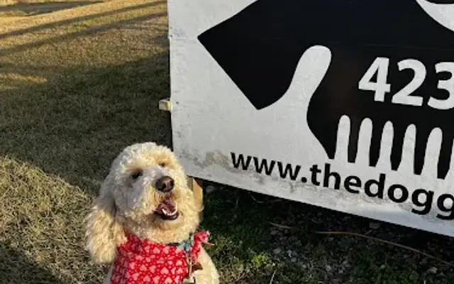 Dog Groomers in Greeneville, TN | USA Dog Grooming