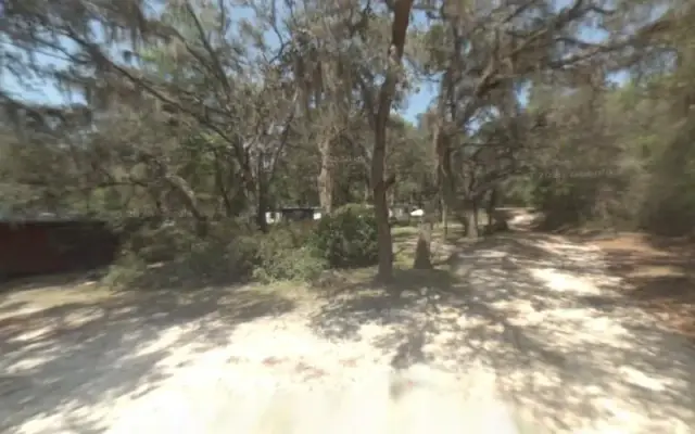 K9 design in Inverness, FL