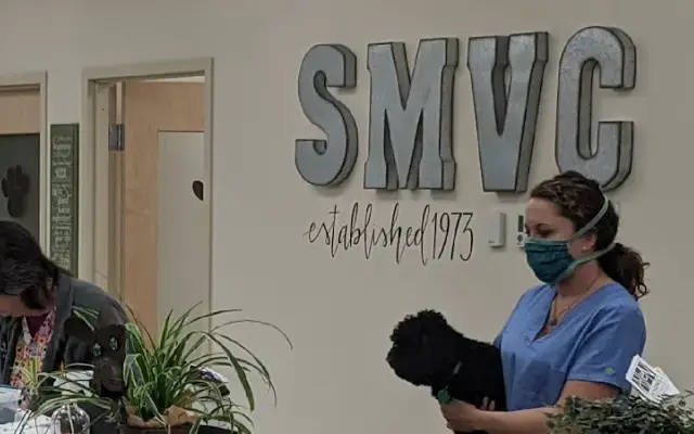 Spring Meadow Veterinary Clinic in Ashland, OH