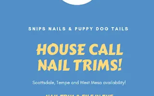 Snips, Nails & Puppy Dog Tails Pet grooming LLC in Phoenix, AZ