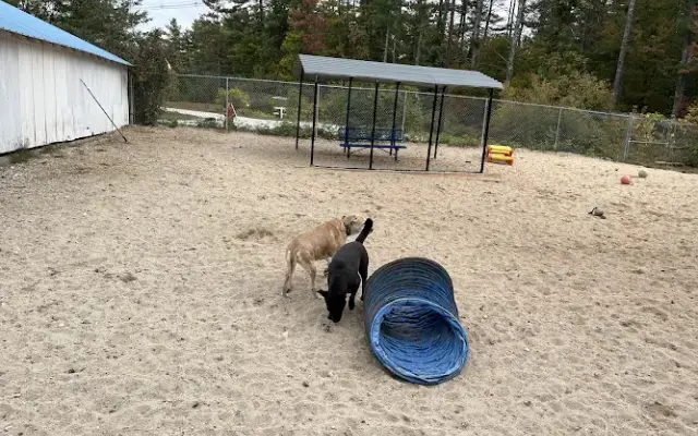 Woodlawn Pet Resort LLC in Warner, NH