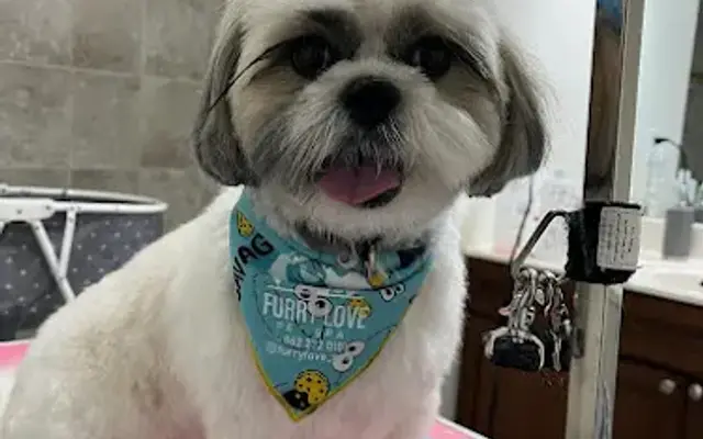 Furrylove Pet Spa in Columbus, NJ