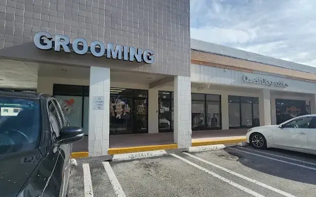 Grooming Is A Dream in Delray Beach, FL