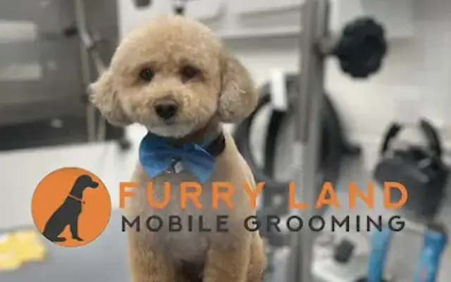 Furry Land Mobile Pet Grooming Fort Myers in Clewiston, FL