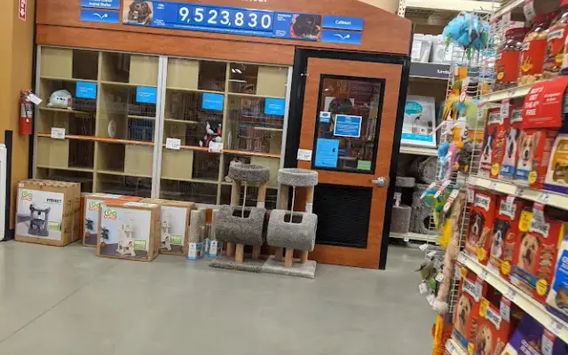 PetSmart in Hudson, MA