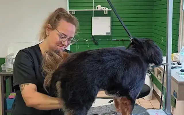 The Crafted Canine in Indianapolis, IN