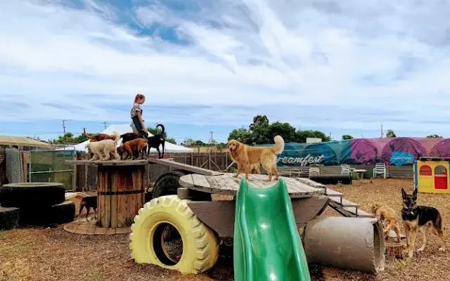 Derty Dog Canine Retreat & Fitness in Brentwood, CA