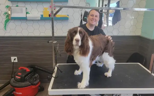 Pet Supplies Plus South Lyon Grooming in South Lyon, MI