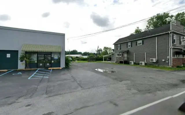 Canine design in Exeter, PA