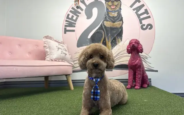 Twenty One Tails in Fort Worth, TX