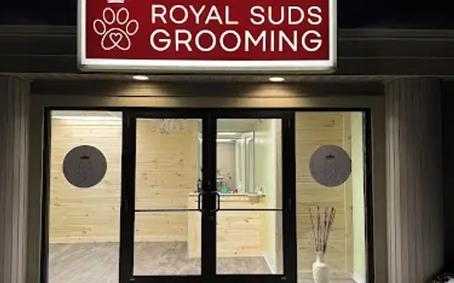 Royal suds pet grooming in Rockford, MI