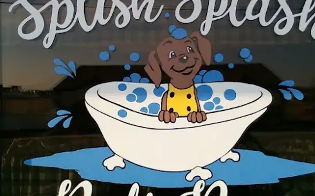 Splish Splash Peti Paw Grooming in Marionville, MO