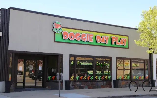 Doggie Day Play in Oak Park, IL