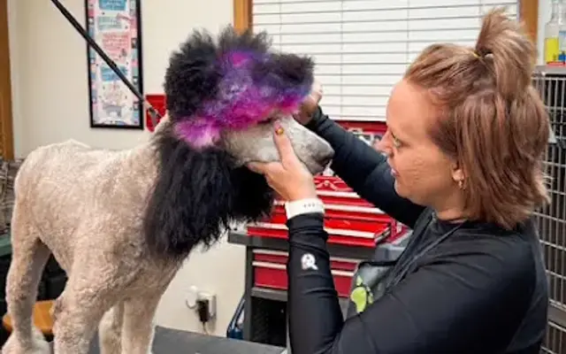 The Barker Pet Hotel in Mineral Wells, TX
