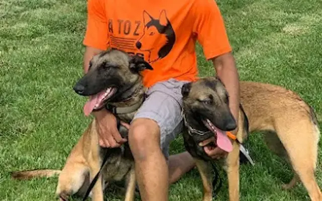 A to Z Dogs, LLC in Springfield, IL