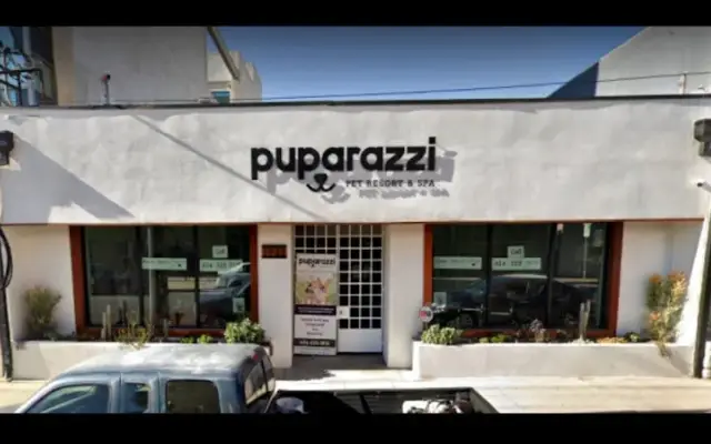 Puparazzi in Los Angeles, CA