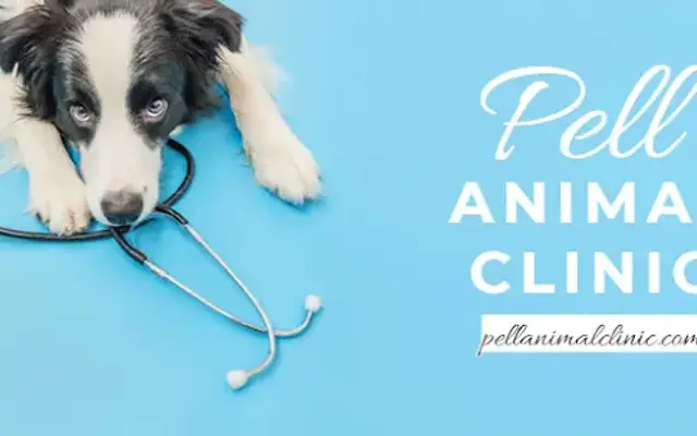 Pell Animal Clinic, Inc. / Farm Veterinary Services, Inc. in Rocky Mount, VA