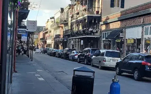 Big Easy Animal Rescue & Pet Shop in New Orleans, LA