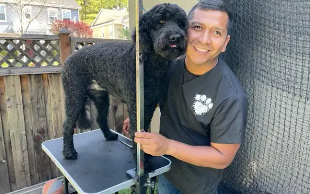Henry Pet Groomer in Novato, CA