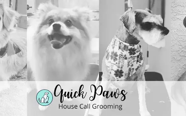 Quick Paws Grooming in Scottsdale, AZ