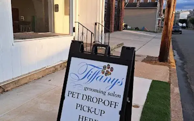 Tiffany's Grooming Salon in Spring City, PA