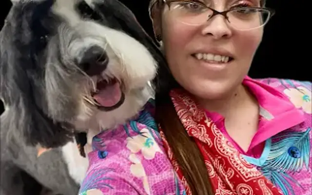 Texas sweet cheeks dog grooming in Red Oak, TX