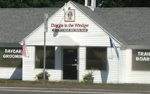Doggie in the Window in Simsbury, CT