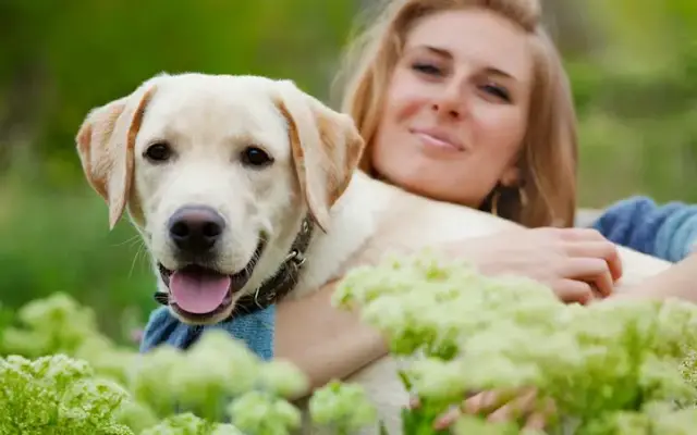 Front Porch Veterinary Clinic in Lumberton, NC